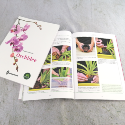 Libro Orchidee